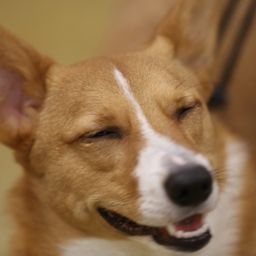 photograph by PeterW